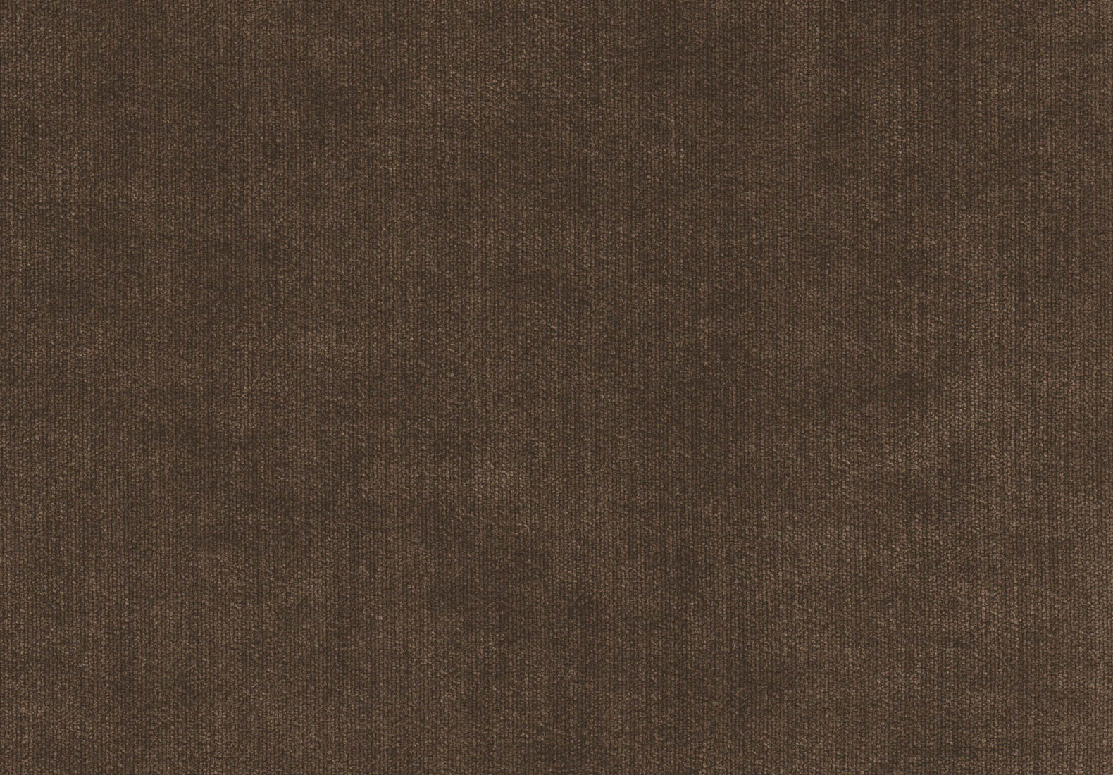 Breton Bark