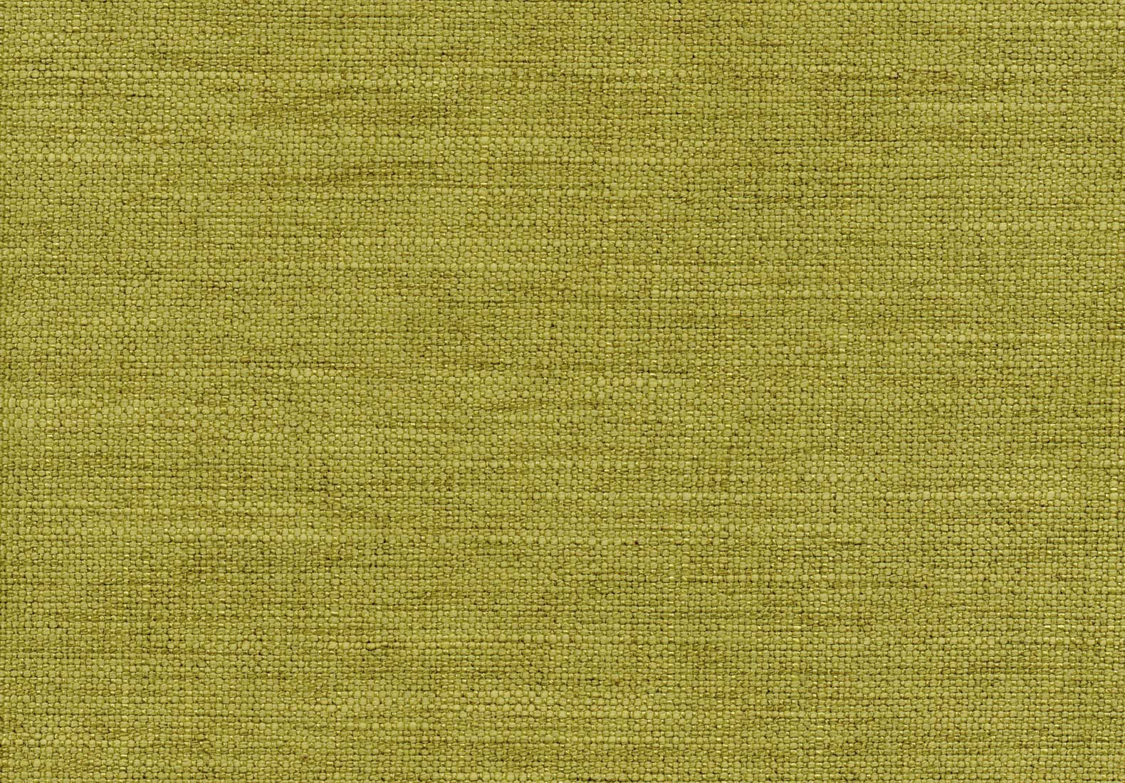 Campbell Grass