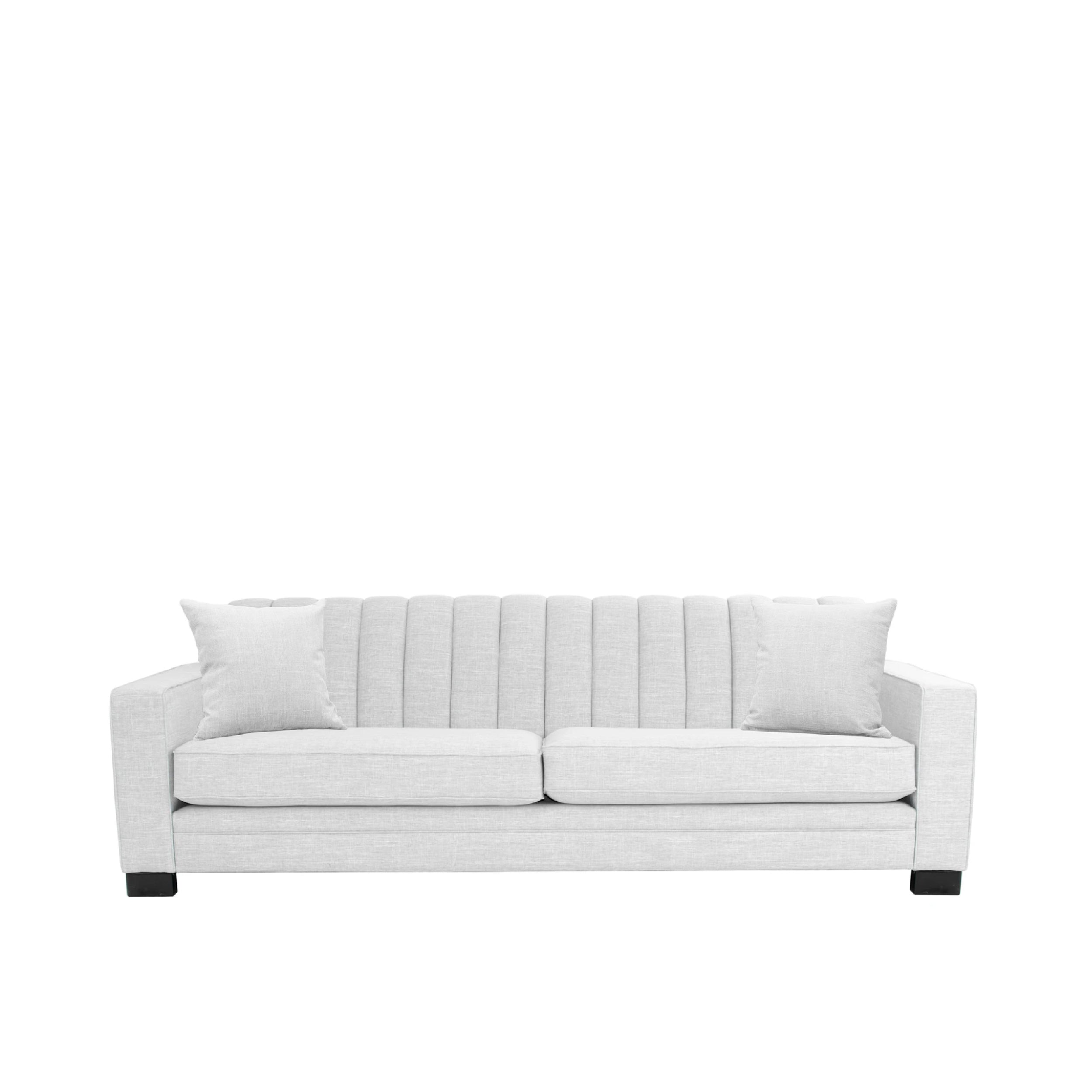 sofa showing a tight back with 2 seat cushions on a white background