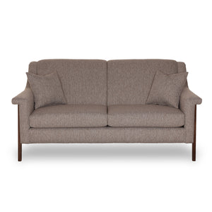 Gray sofa with two cushions on a white background