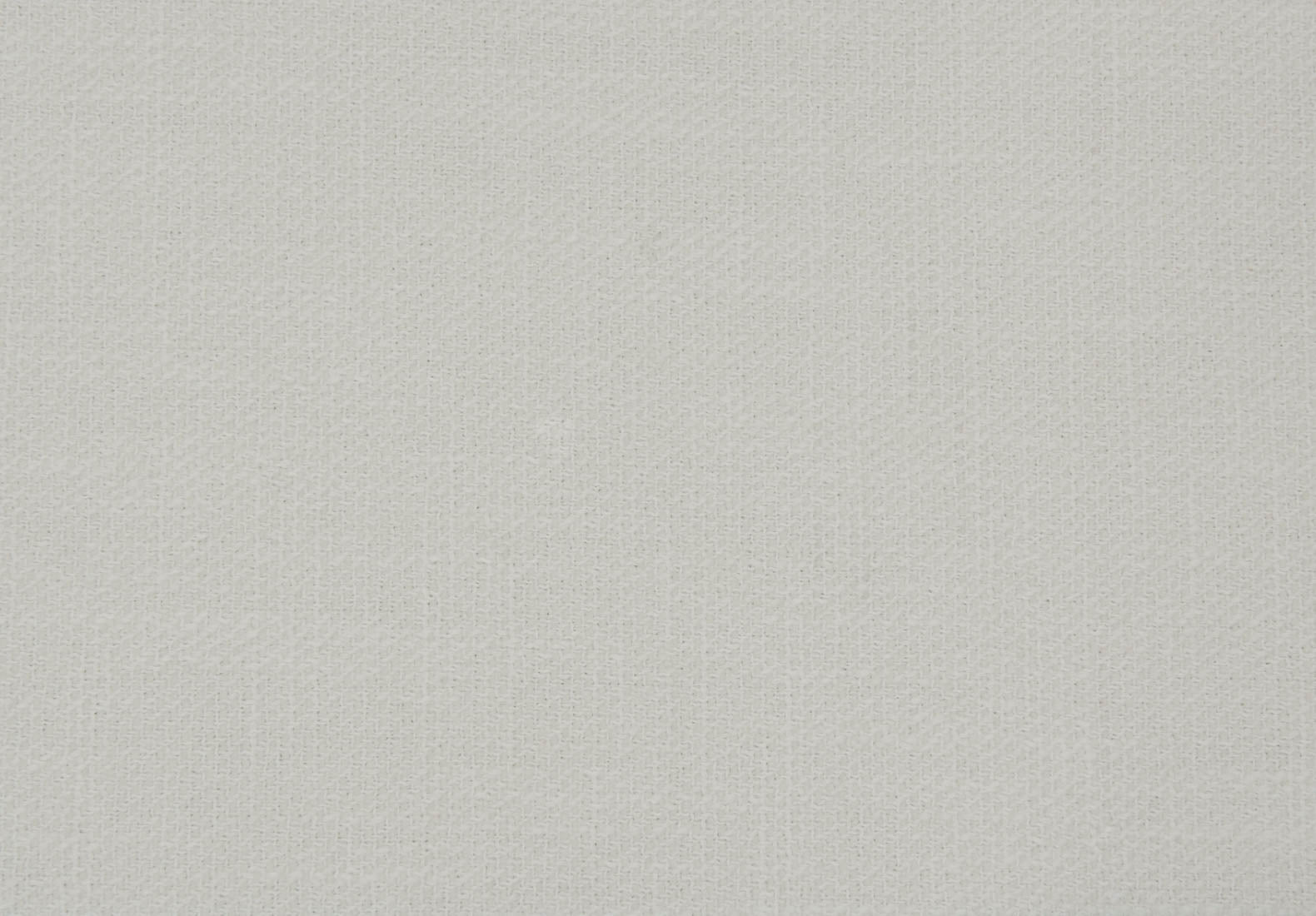 Murakami Lily