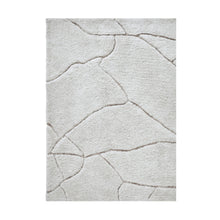 Load image into Gallery viewer, Area Rug showing pattern. Allen style
