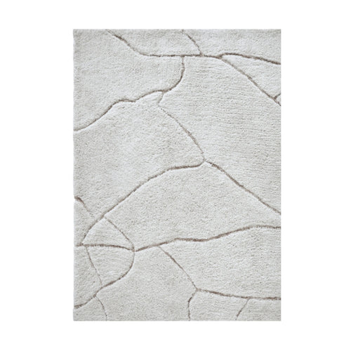 Area Rug showing pattern. Allen style