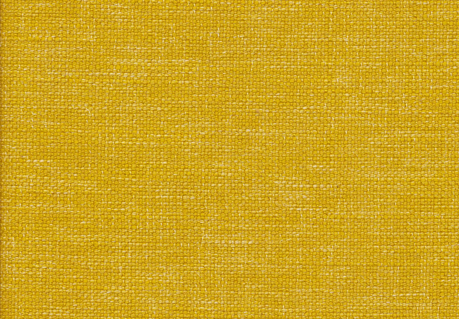 Campbell Mustard