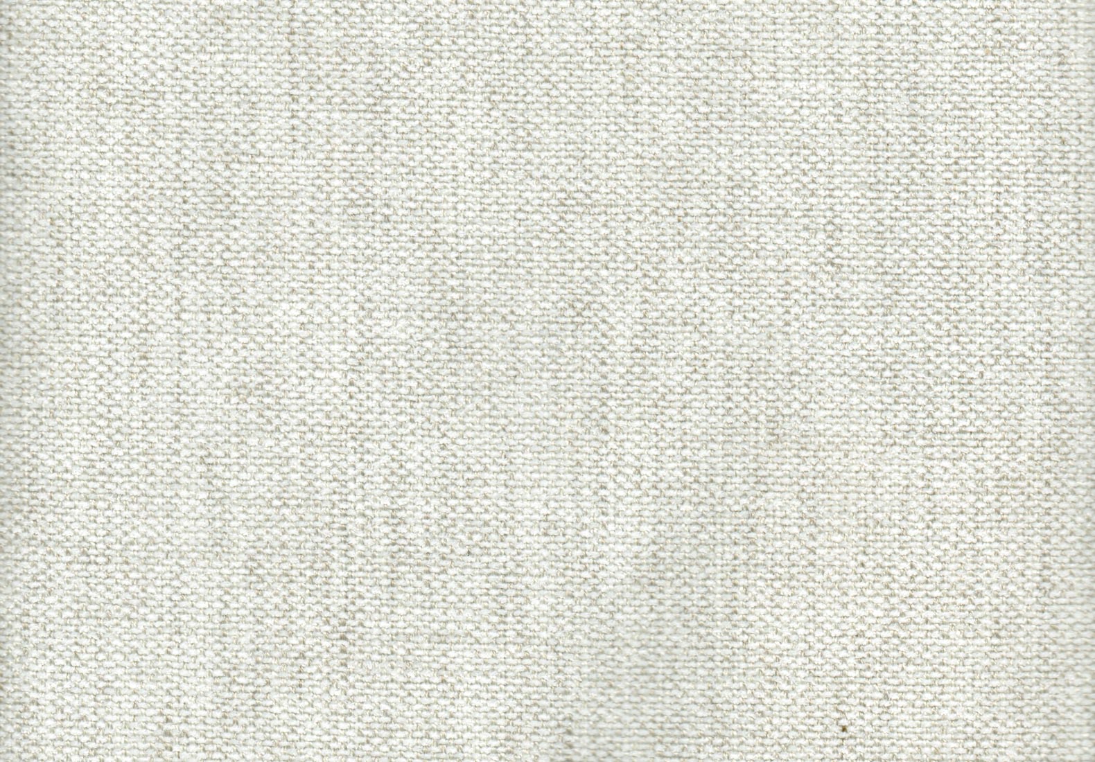 Eden Lace