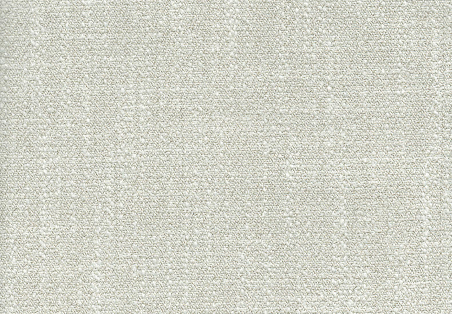 Jersey Cream