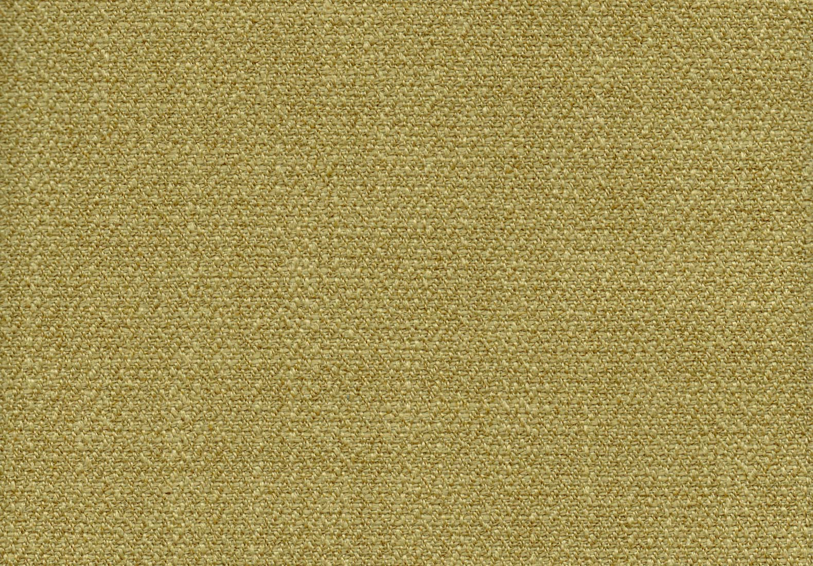 Jersey Mustard