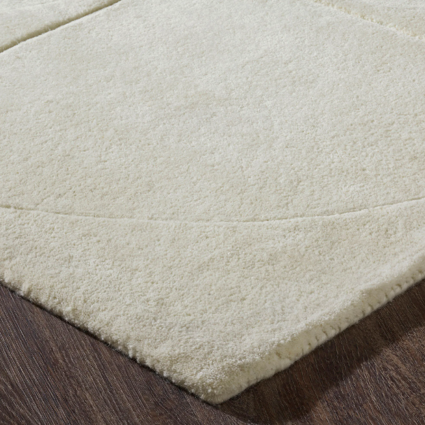 close up of the napoli rug 
