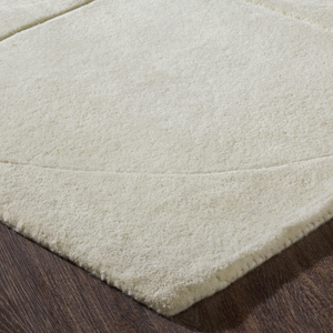 close up of the napoli rug 