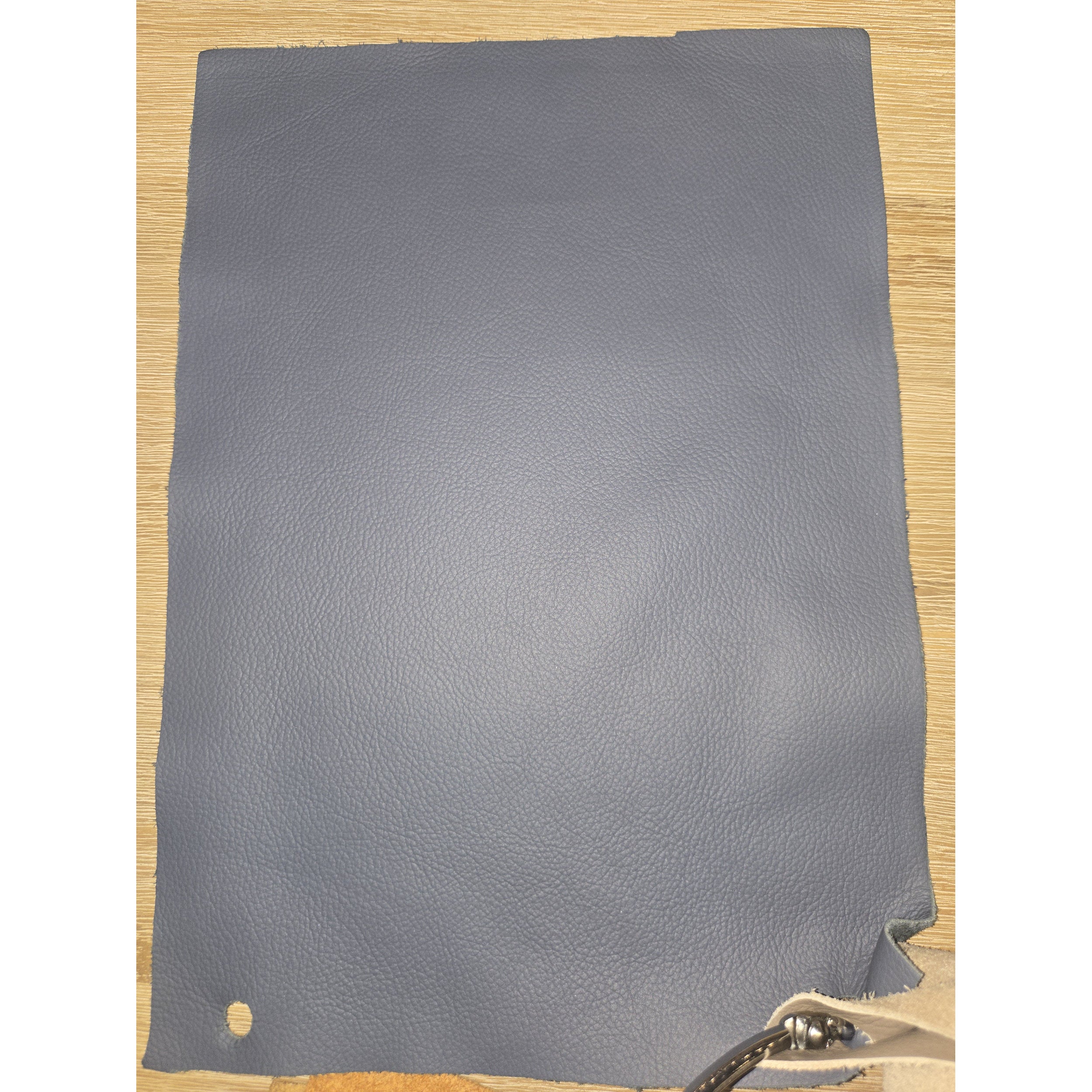 Gamma Swivel Chair - Leather: Ocean Blue
