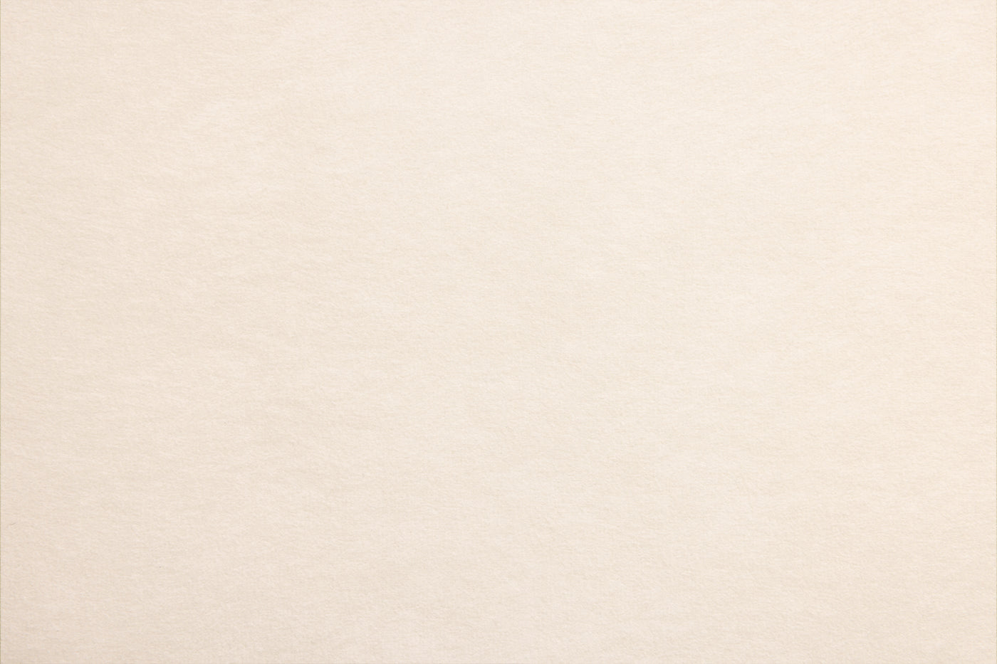 Stewart Shell by Van Gogh Designs in beige cream parchment with subtle fiber texture and soft matte finish, ivory tones.